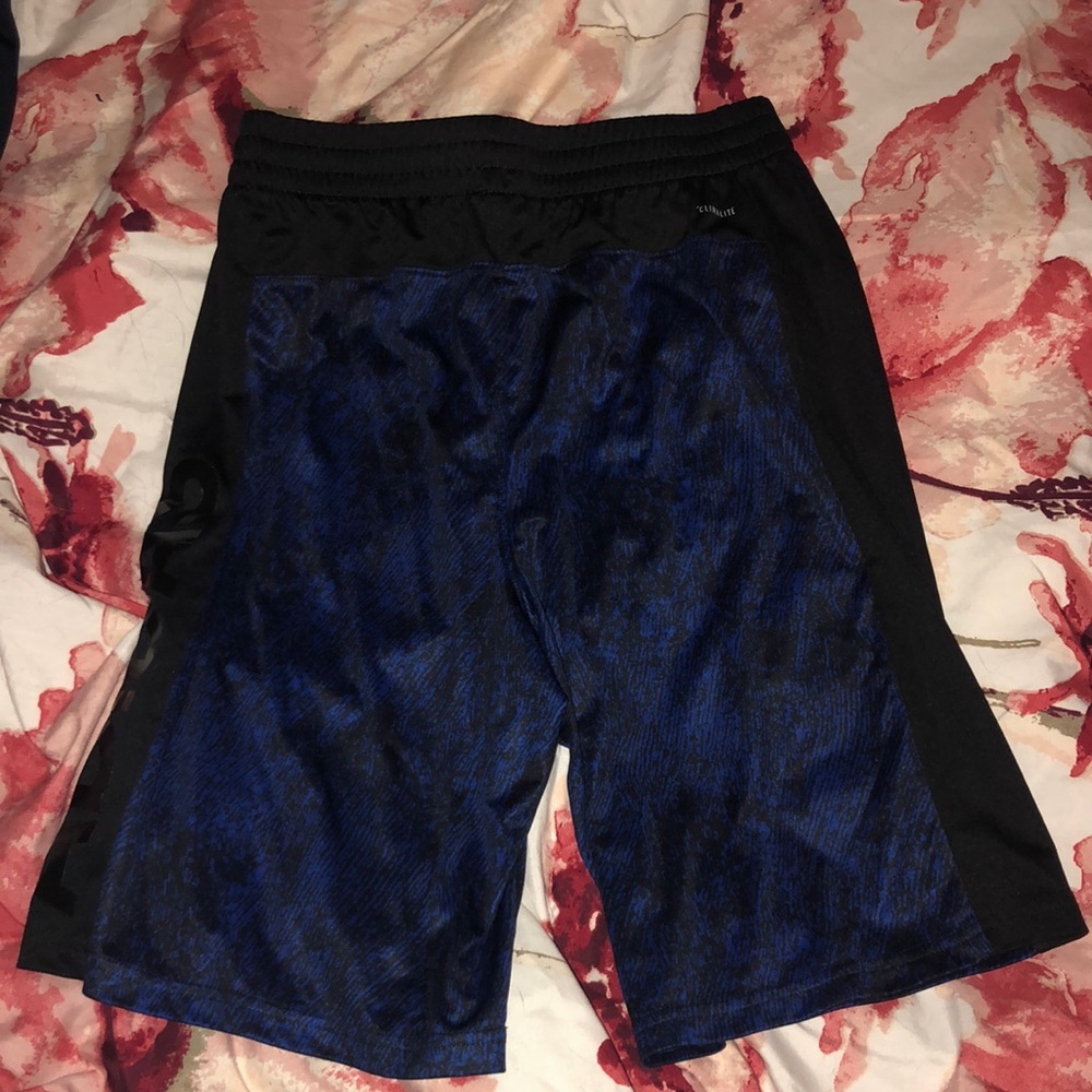 Adidas Climalite Shorts